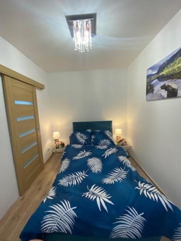 Apartament Karpacz 2- pokojowy Apartment in Lower Silesian Voivodeship