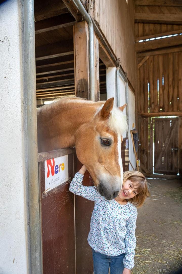 Animals, children