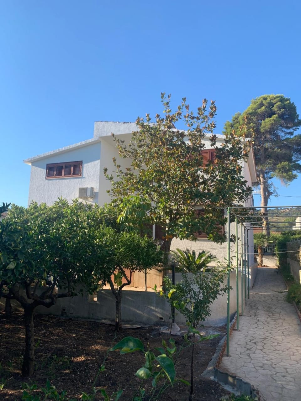 Garden view