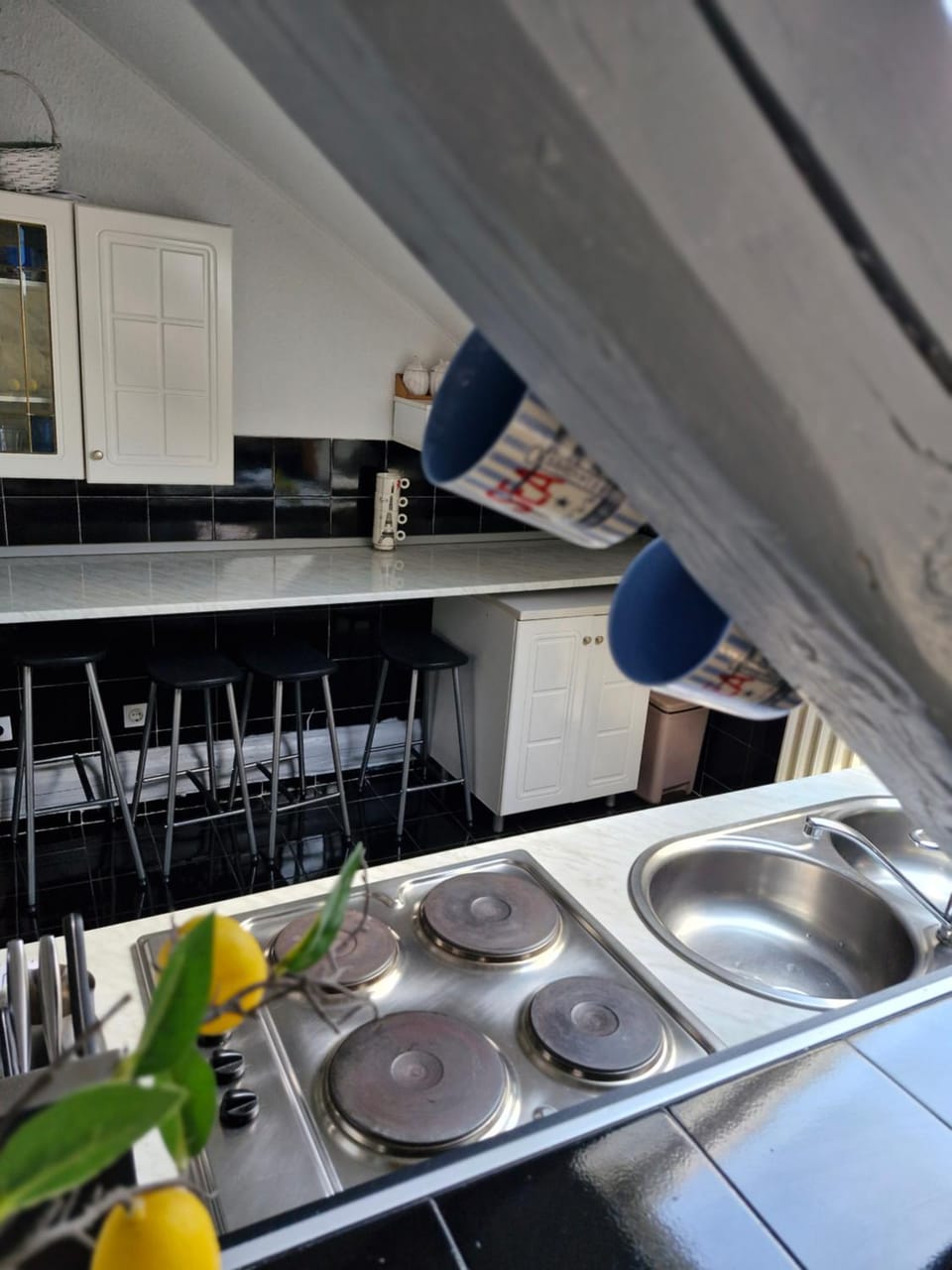 Deki & Kolet Apartment in Belgrade