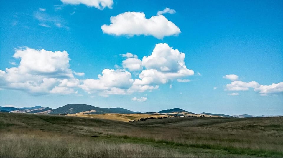 Apartment Gora Apartment in Zlatibor