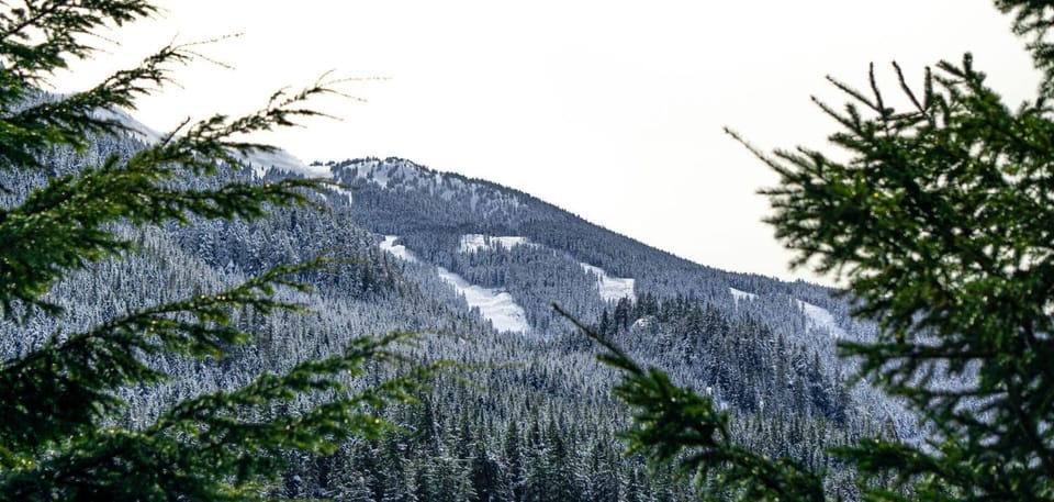 Mountain view