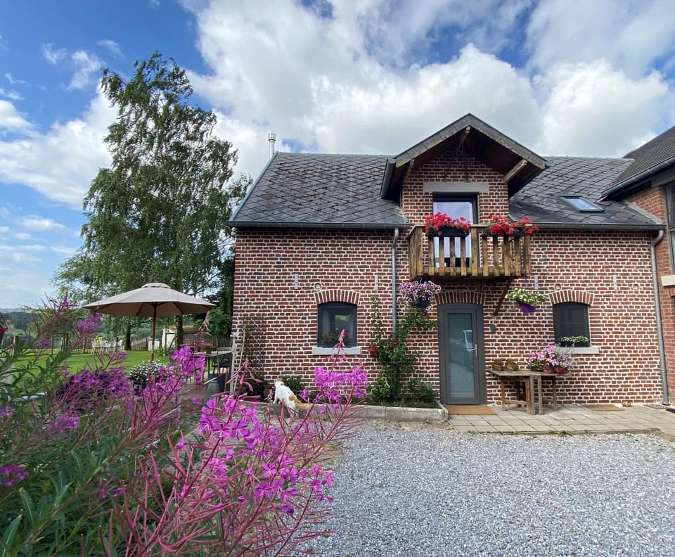 Property building, Day, Garden