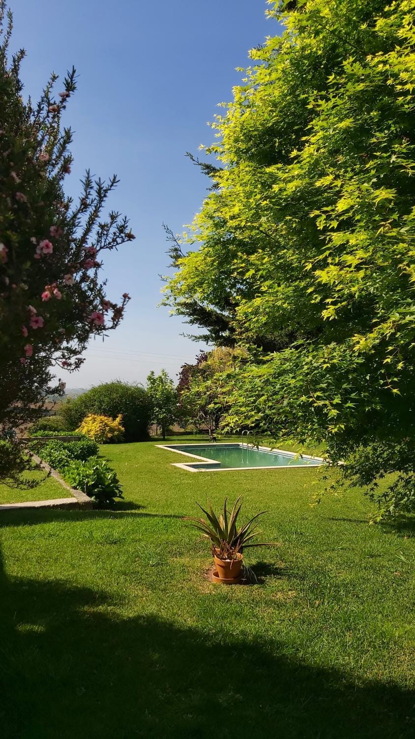 Garden, Swimming pool