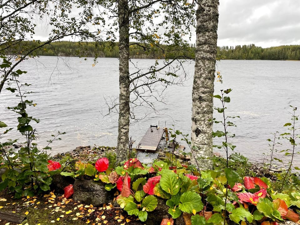 View (from property/room), Lake view