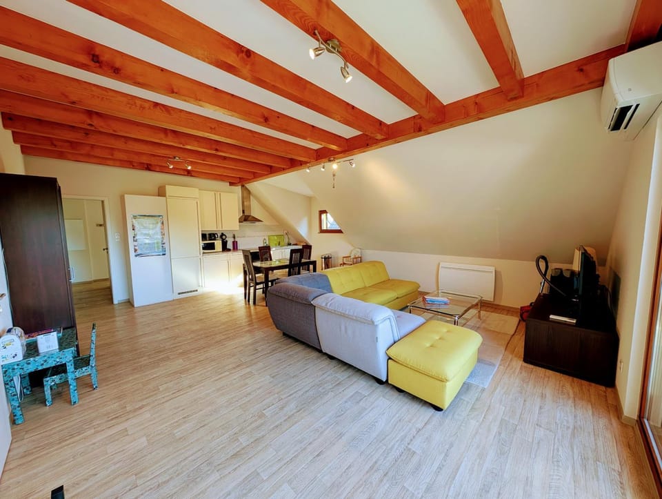 Living room, kitchen, air conditioner