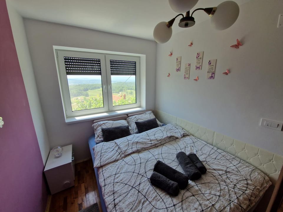 Vineyard Cottage with Private Jacuzzi House in Slovenia