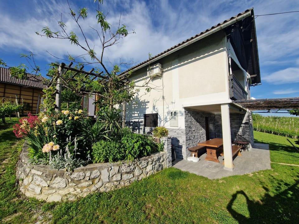 Vineyard Cottage with Private Jacuzzi House in Slovenia