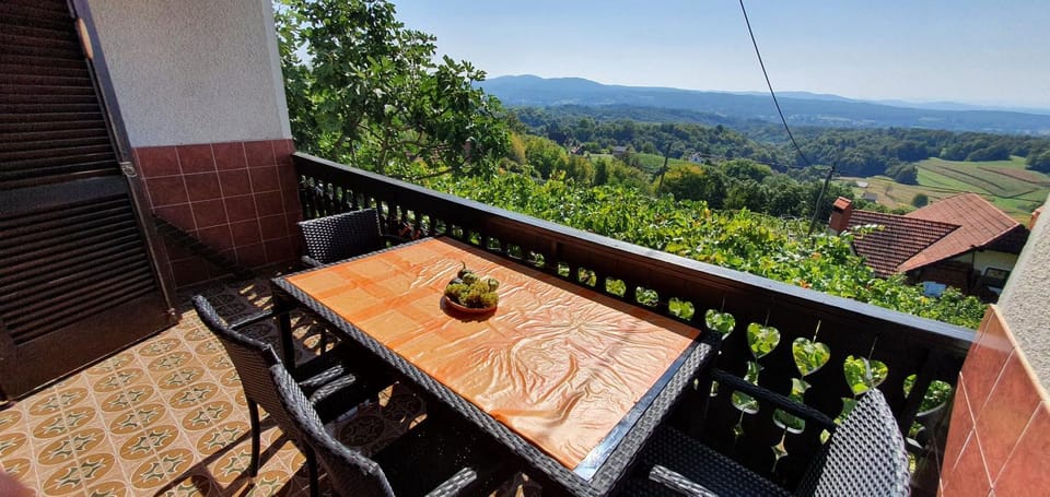 Vineyard Cottage with Private Jacuzzi House in Slovenia