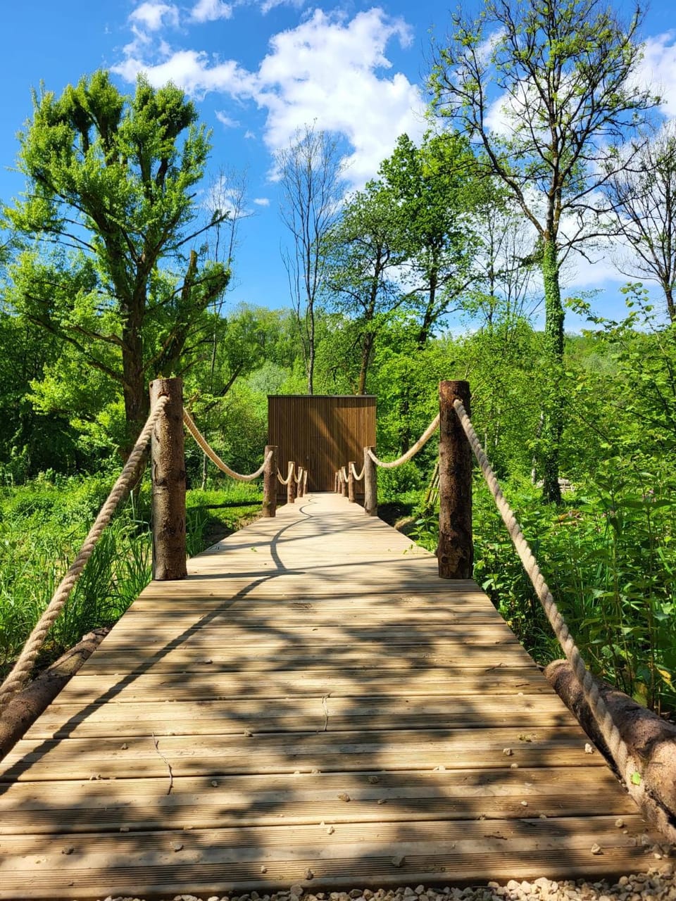Natural landscape