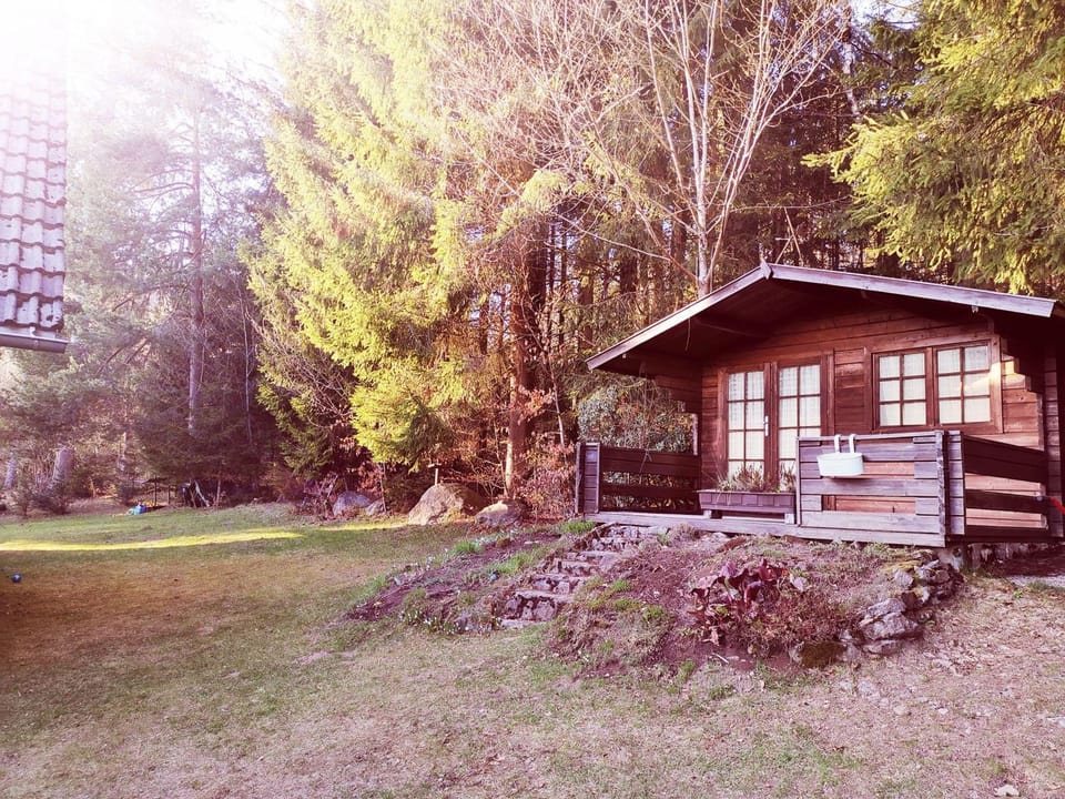Haus-Daxberg-idyllisch-gelegen-im-Bayerischen-Wald Apartment in Bavaria