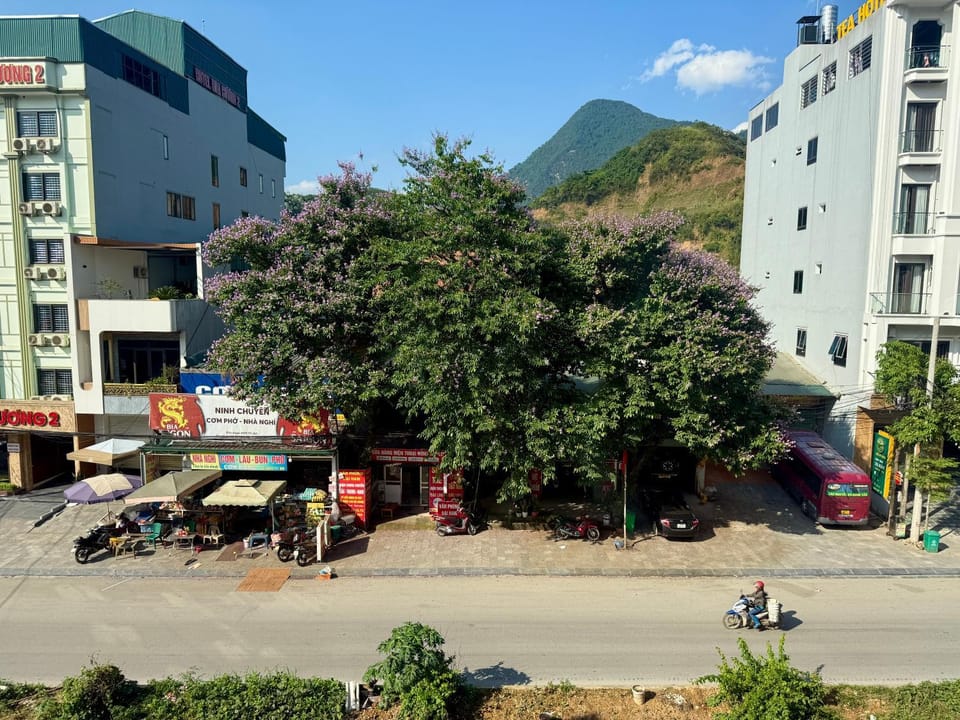 Day, Neighbourhood, Mountain view, Street view, Location