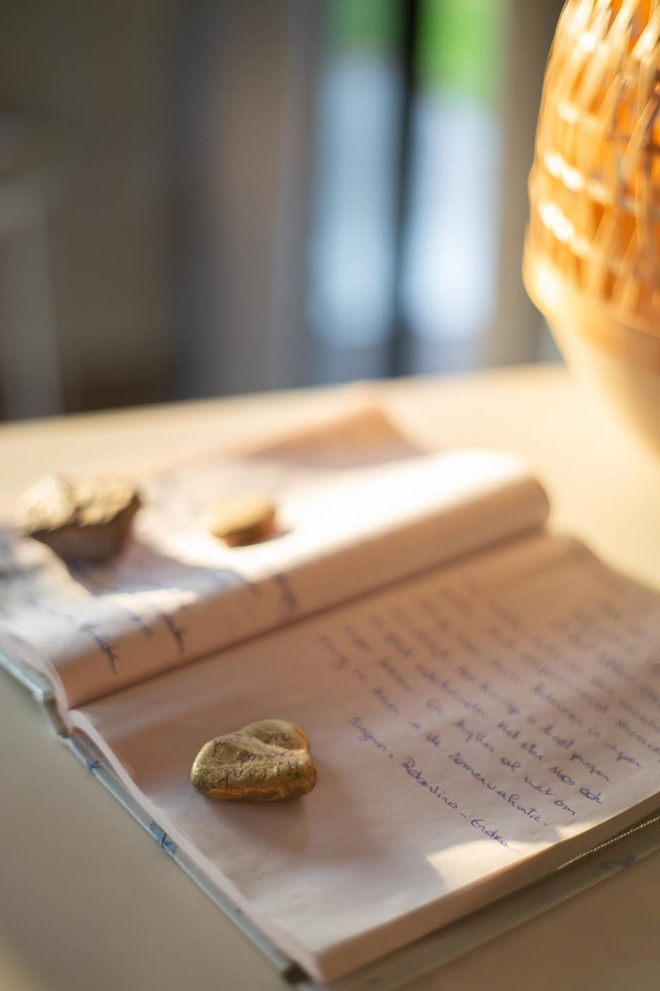 Houten huisje tussen paarden House in Flanders
