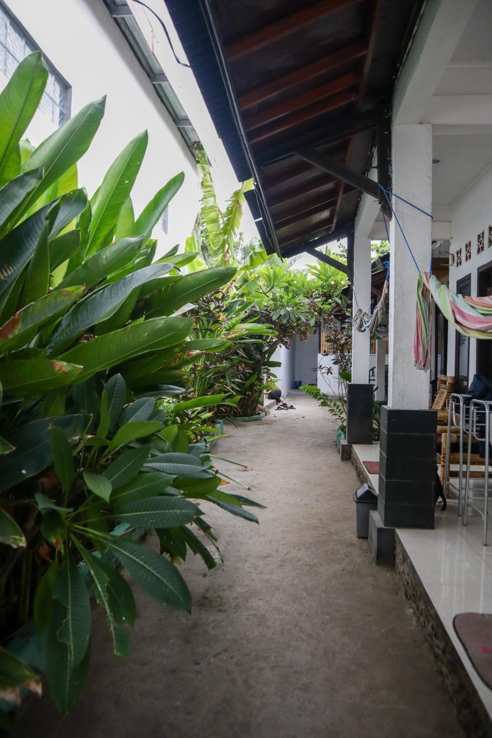 Garden view