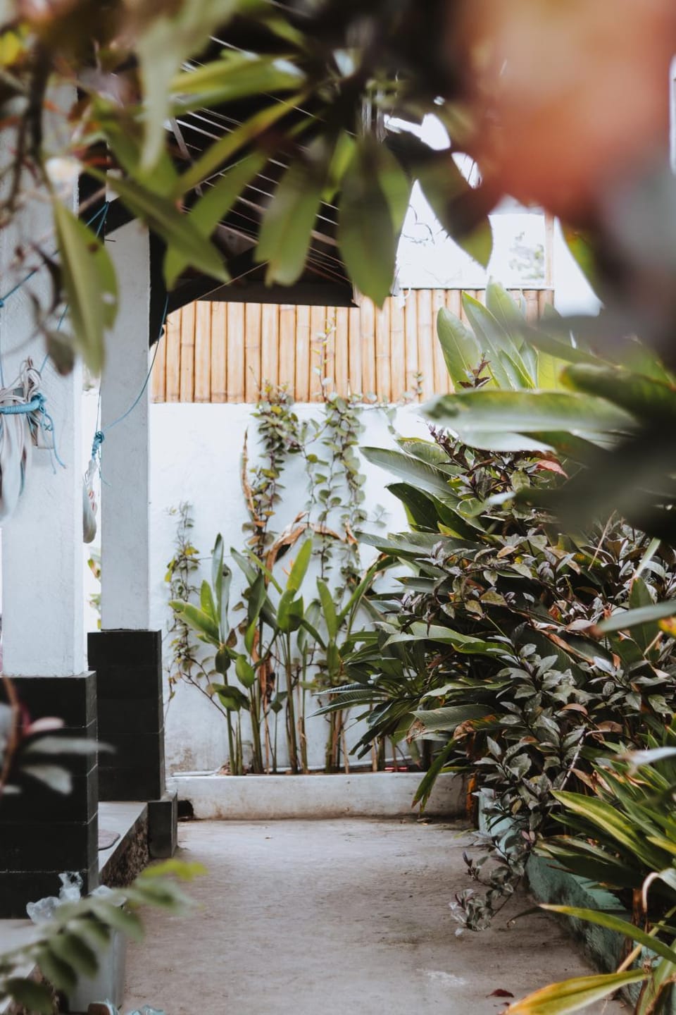 Garden view