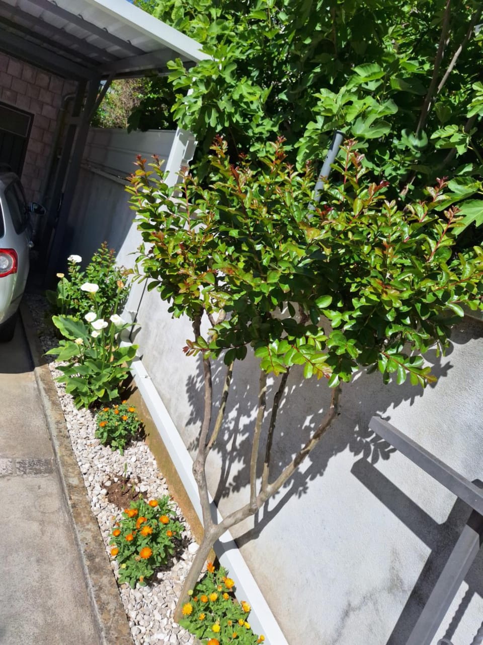 Property building, Garden