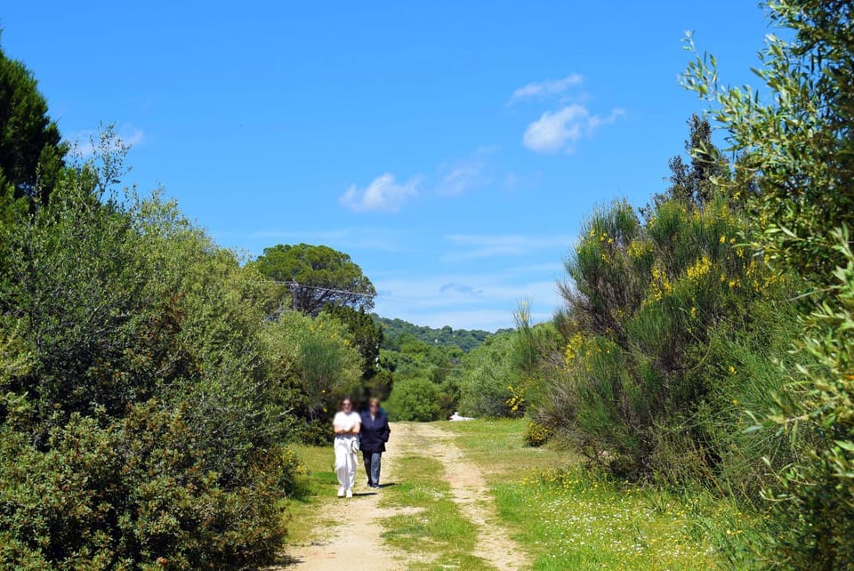 Beach, Hiking
