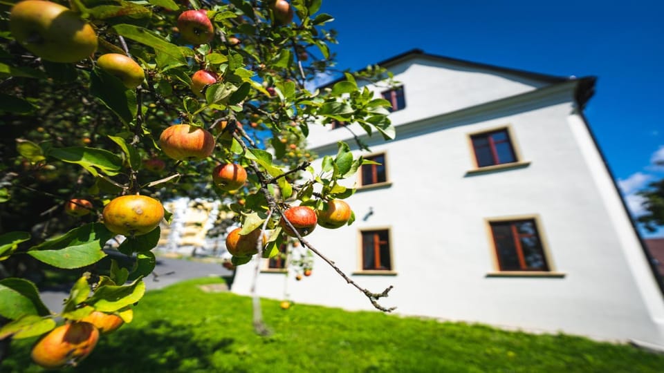 Property building, Spring