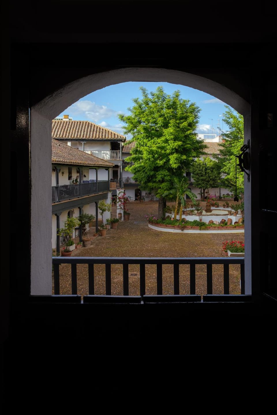 Garden view