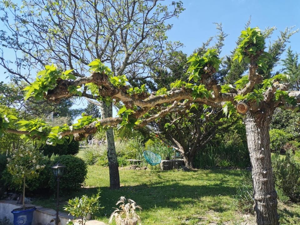 Garden, Garden