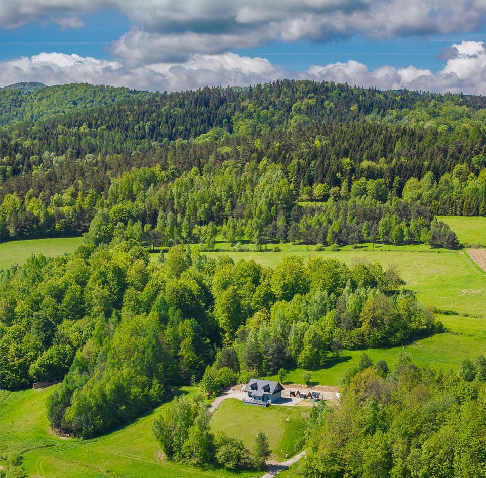 Spring, Bird's eye view, Summer