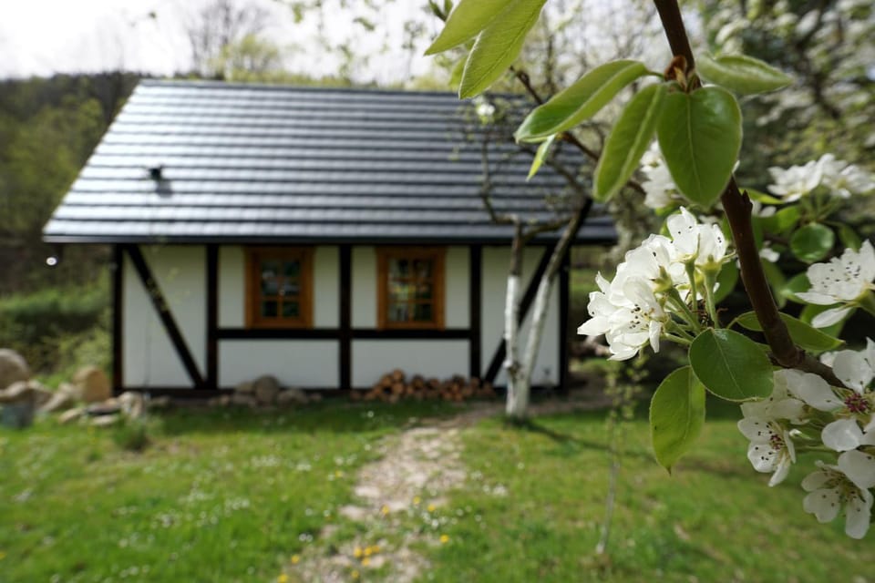 Property building, Natural landscape