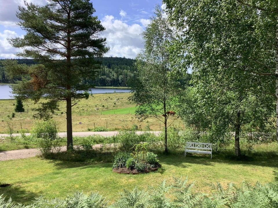 Garden view