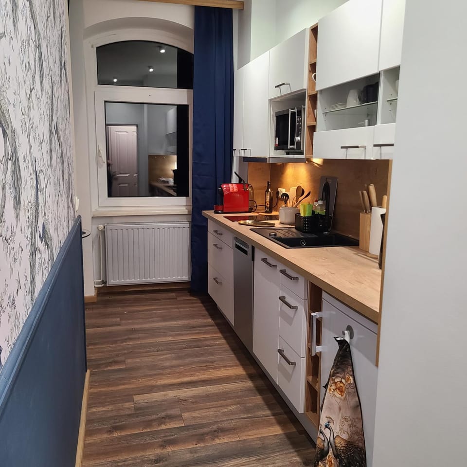 Kitchen or kitchenette, kitchen
