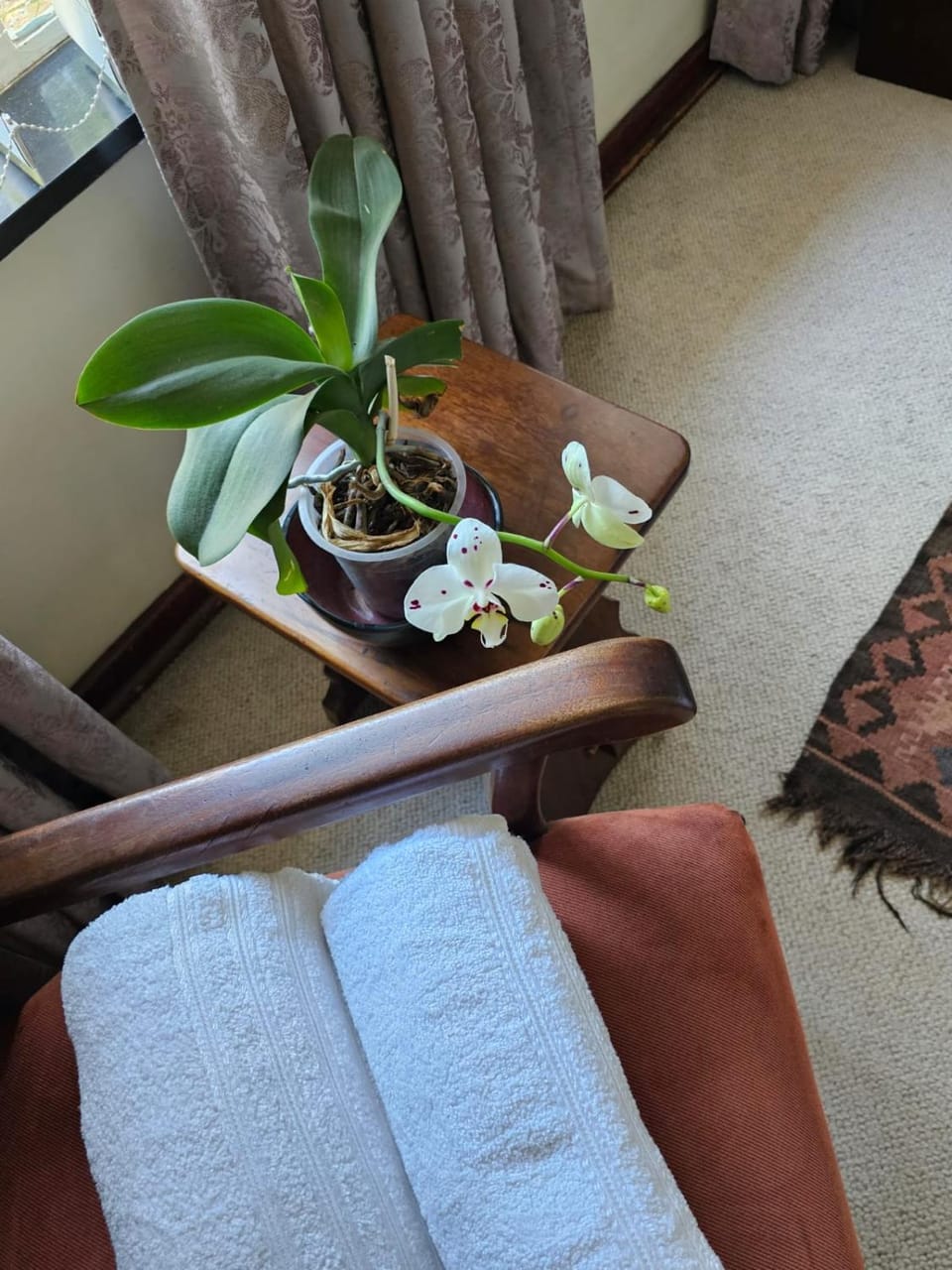towels, towels