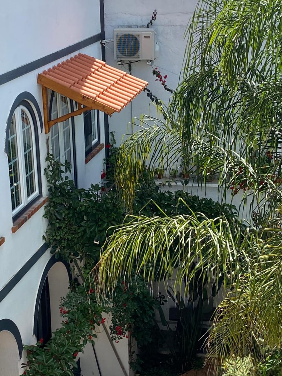 Property building, Patio, Garden, Garden view