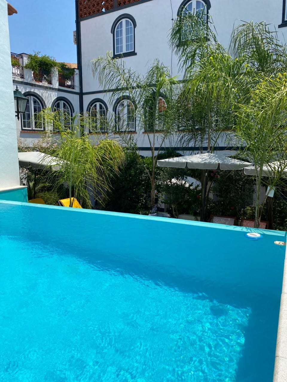 Garden, Garden view, Swimming pool