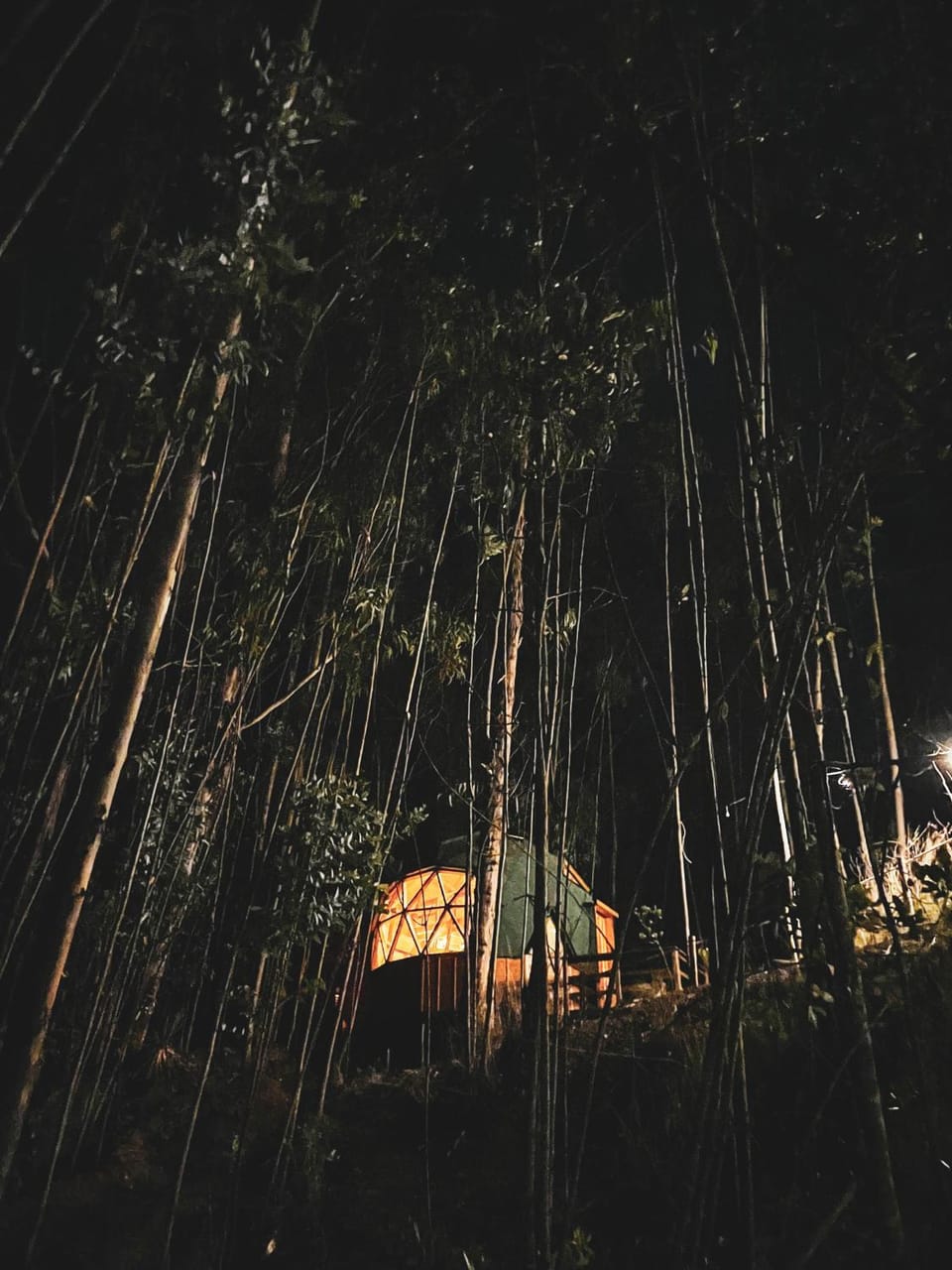 Night, Natural landscape