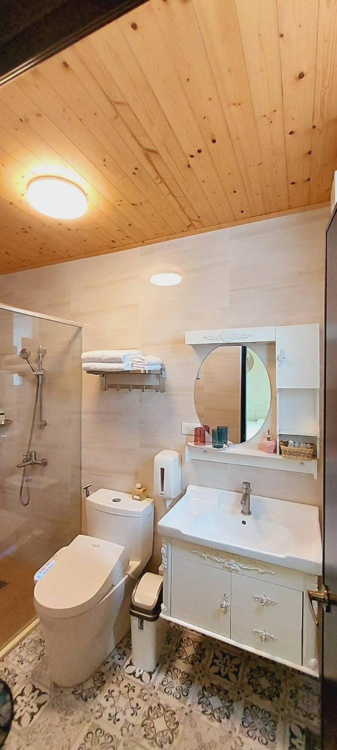 Shower, Toilet, Decorative detail, Decorative detail