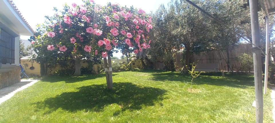 Villa Antonia House in Bajo Guadalquivir