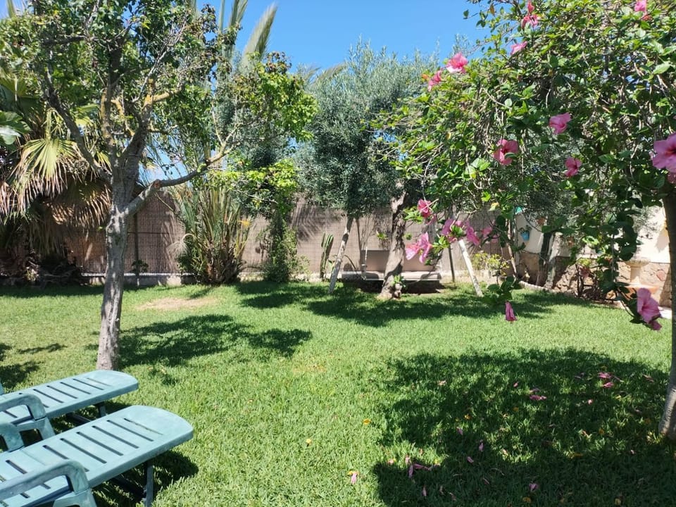 Garden, Garden view, sunbed