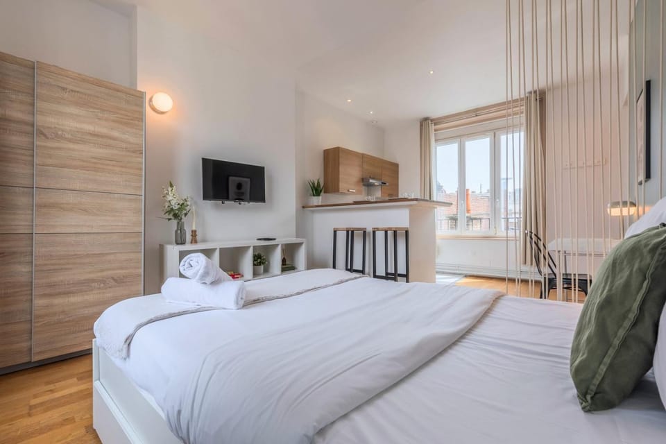 Grand Place very well located studio Apartment in Lille