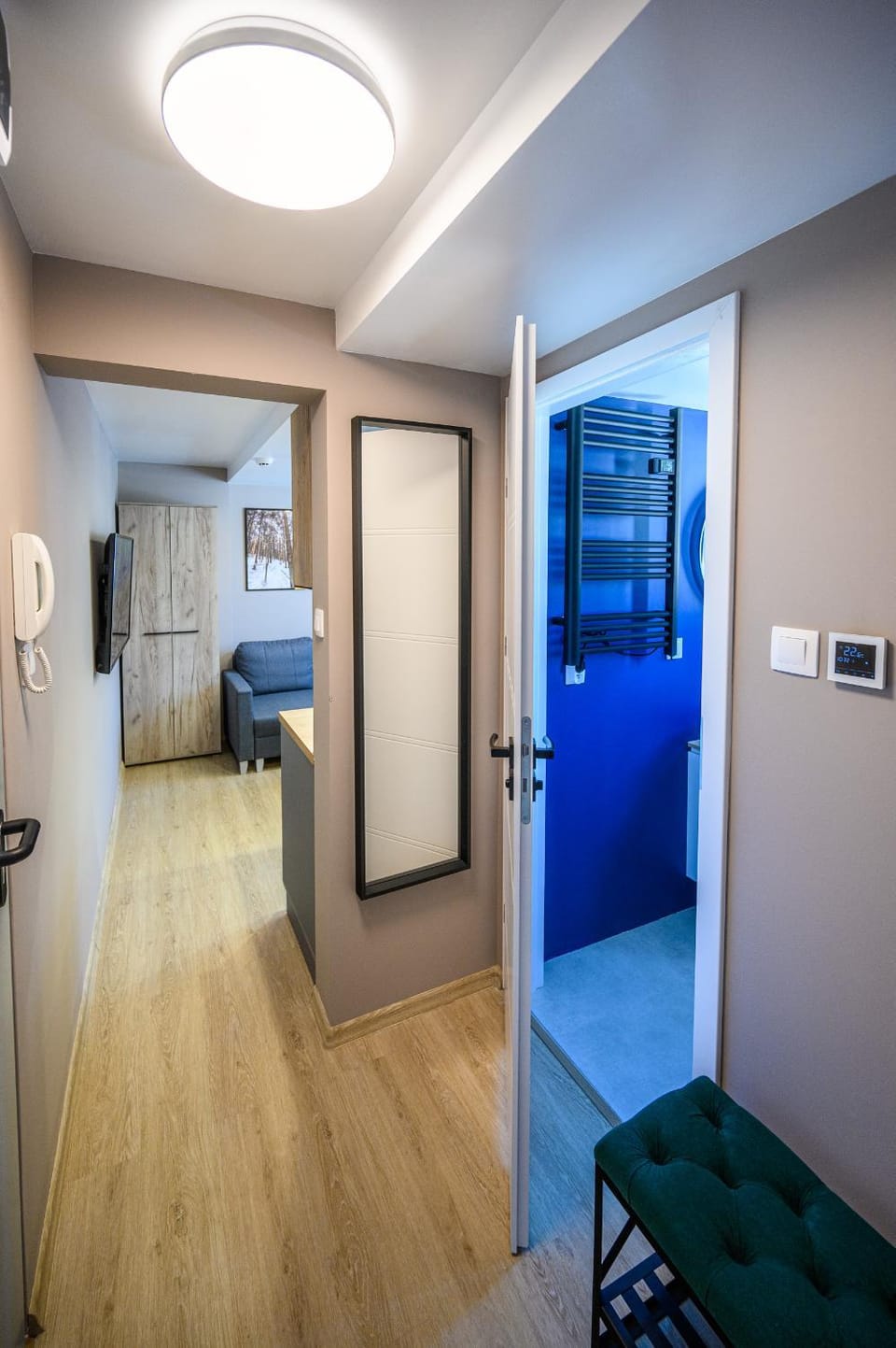 Bathroom, Living room
