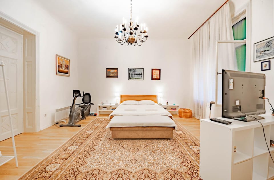 The Best Location 130 m2 salon apartment Apartment in Sarajevo