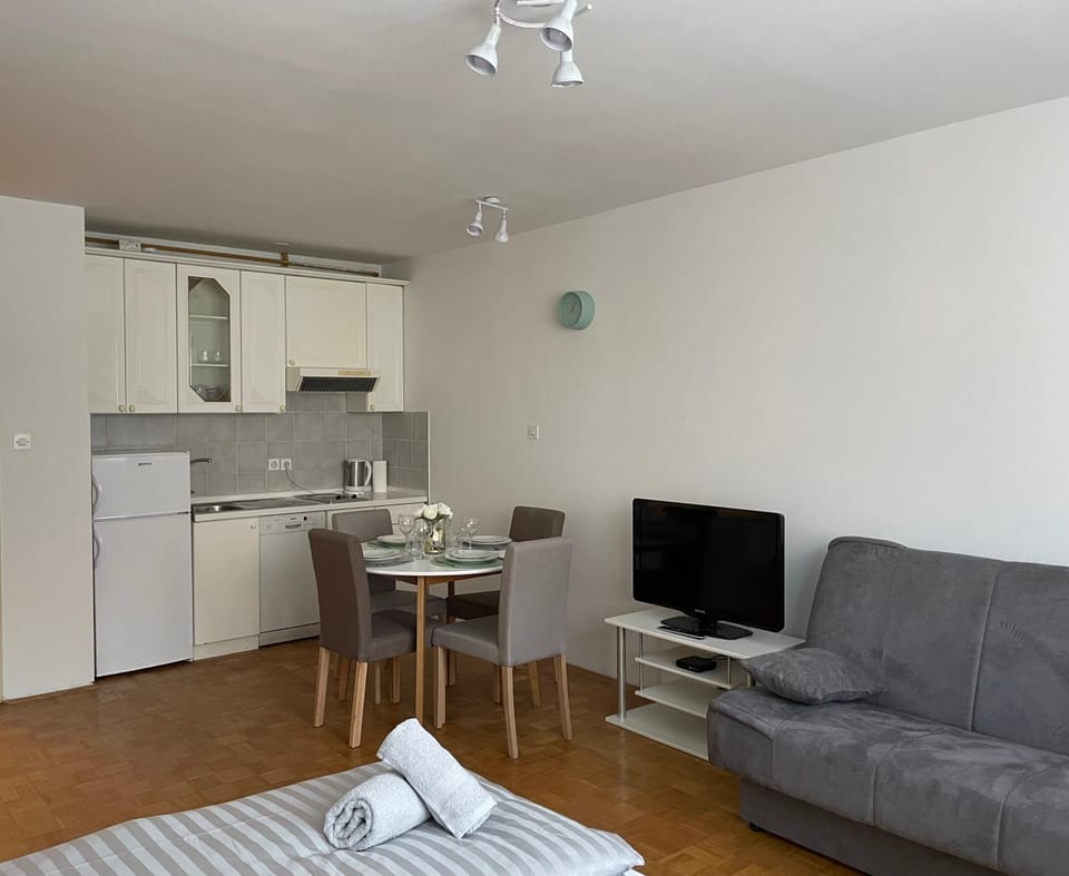Apartment Green - Grey Apartment in Ljubljana