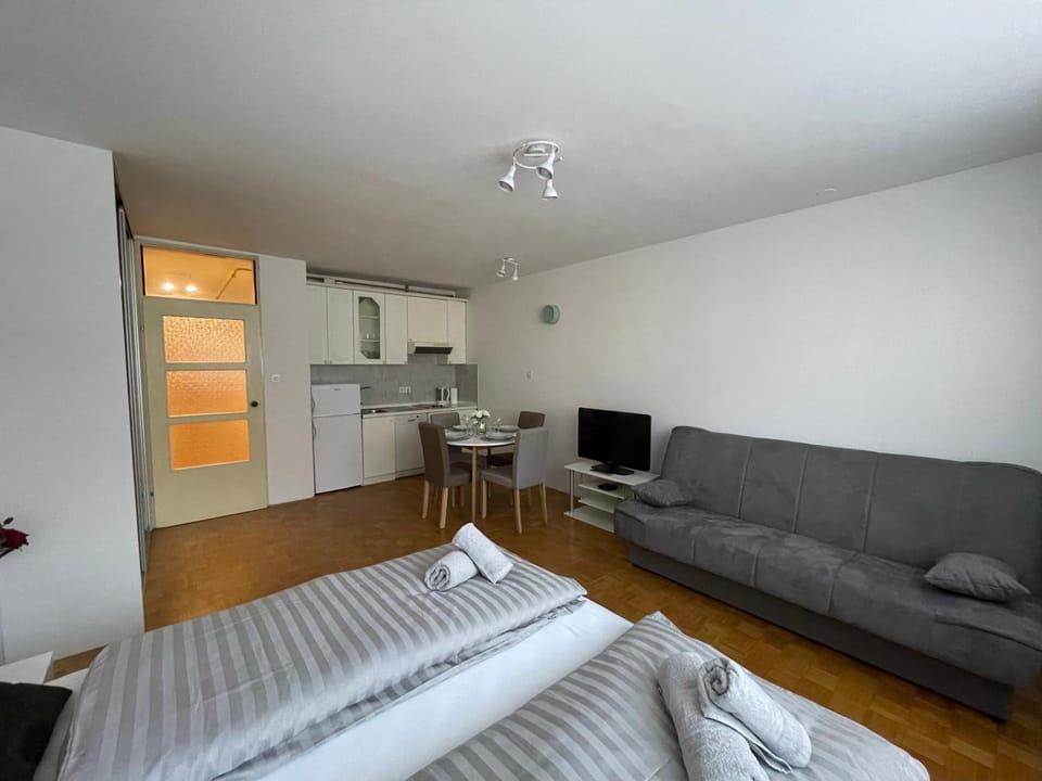 Apartment Green - Grey Apartment in Ljubljana