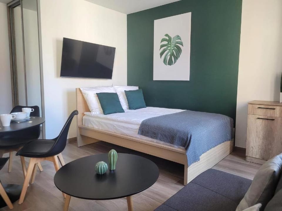 Bed, TV and multimedia, Living room, Photo of the whole room, Seating area, Bedroom