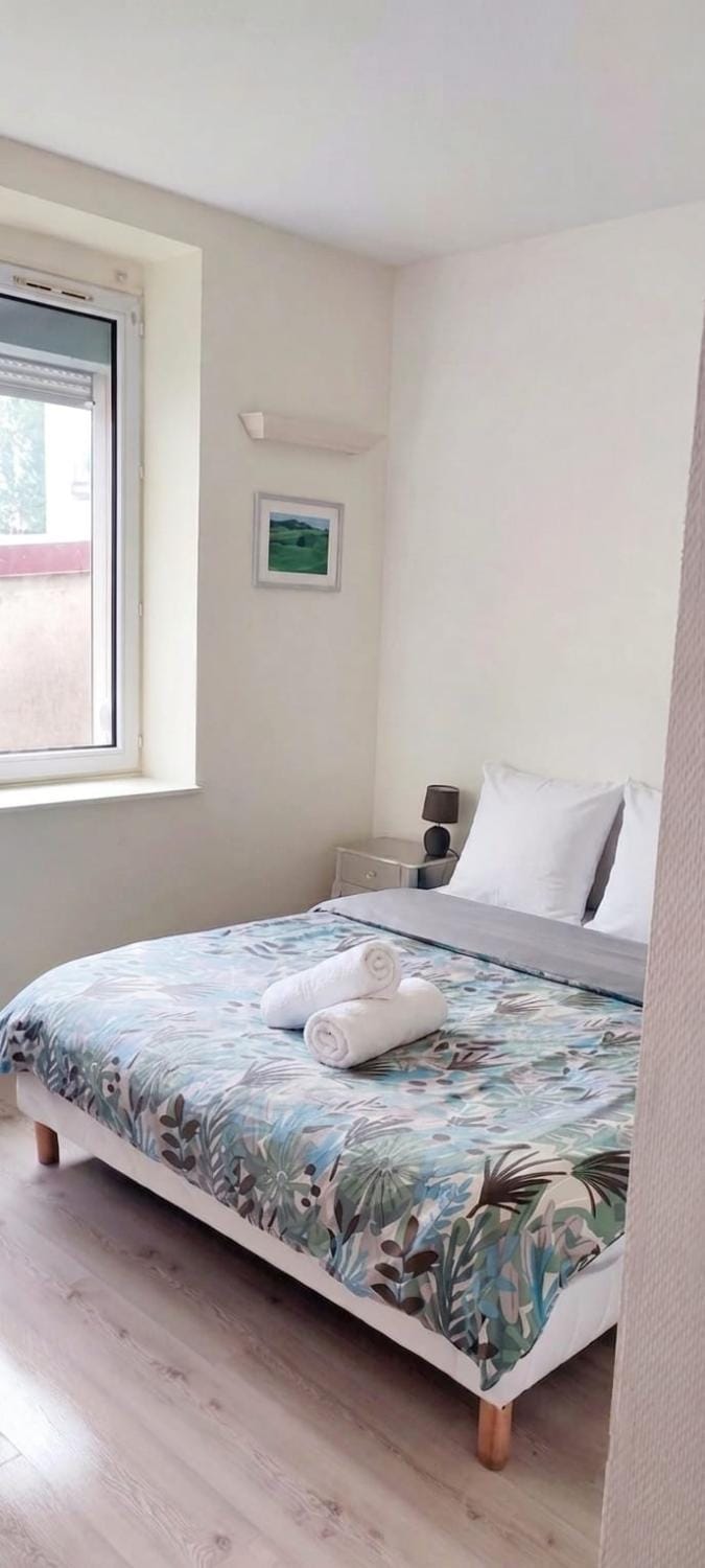 "Le Comtois", confort et calme au centre de Besançon Apartment in Besançon