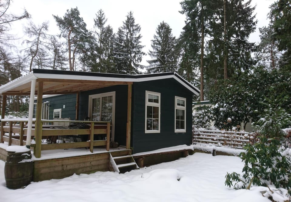 Property building, Winter