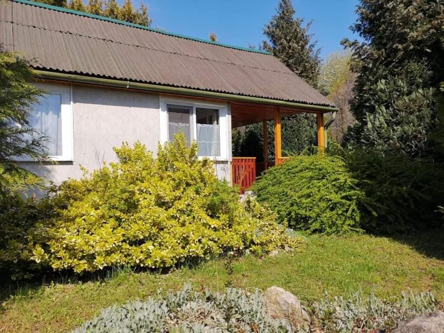 Erdőszéli vendégház Apartment in Hungary