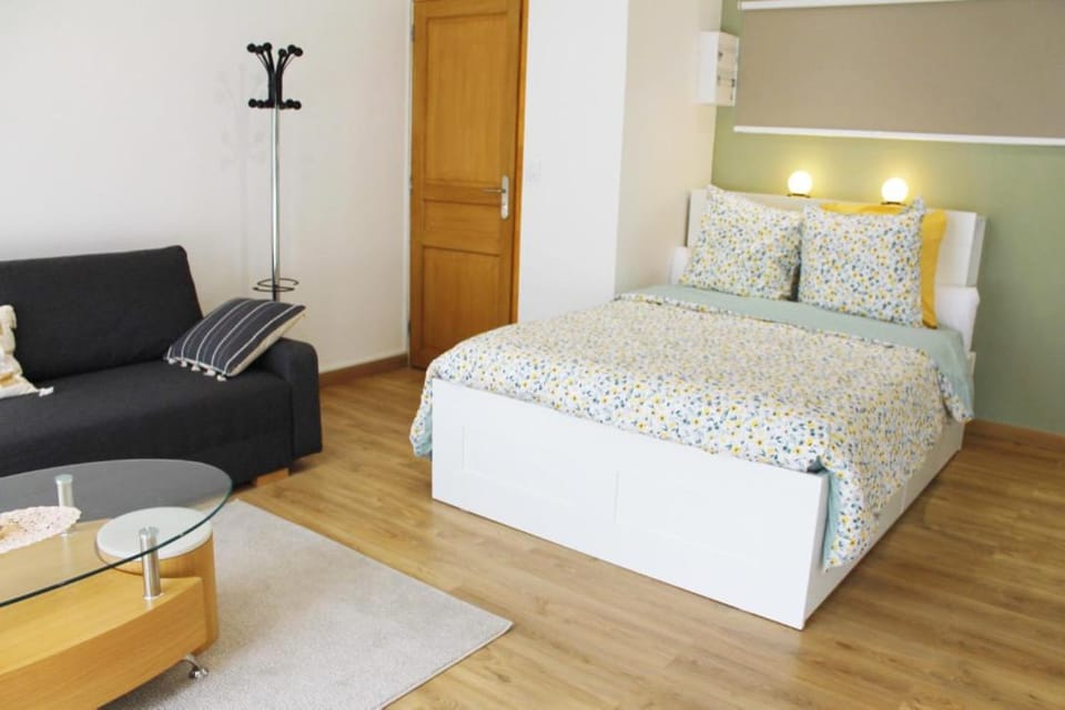 Saint Etienne : appartement Châteaucreux 40 M2 Apartment in Saint-Étienne