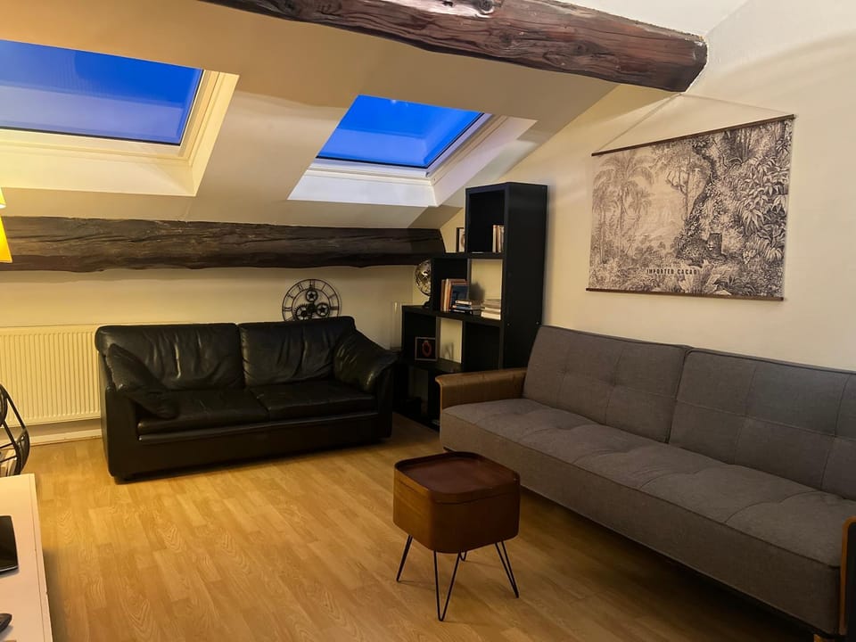 Le Central Victoria VI Apartment in Nancy