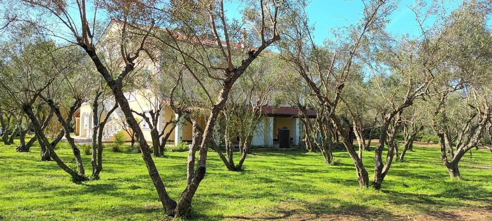 Property building, Spring, Garden