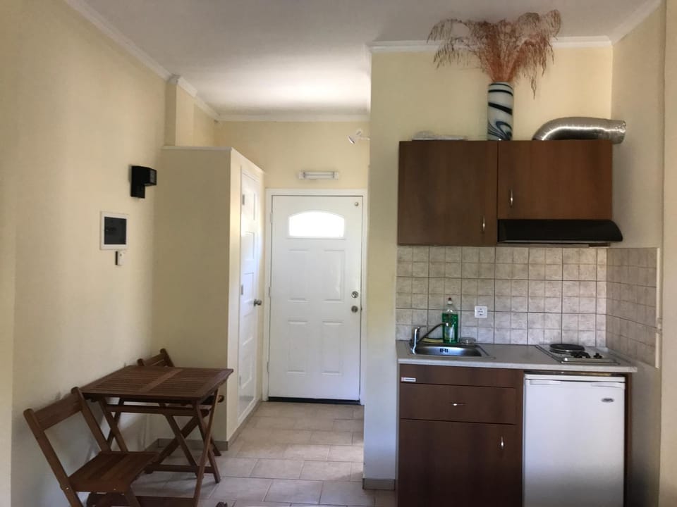 Raxes Kastanies Despina Studios # 4 Apartment in Icaria