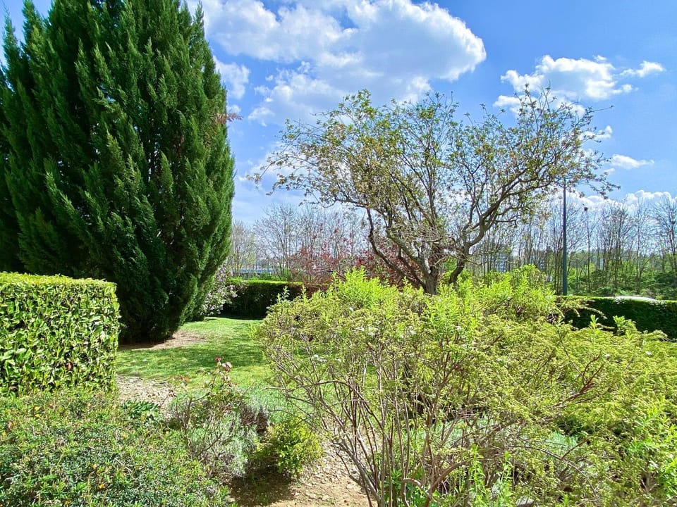 Property building, Garden view