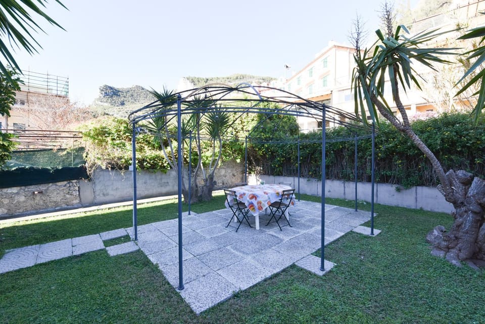 Spring, Day, Garden, Pets, Garden view